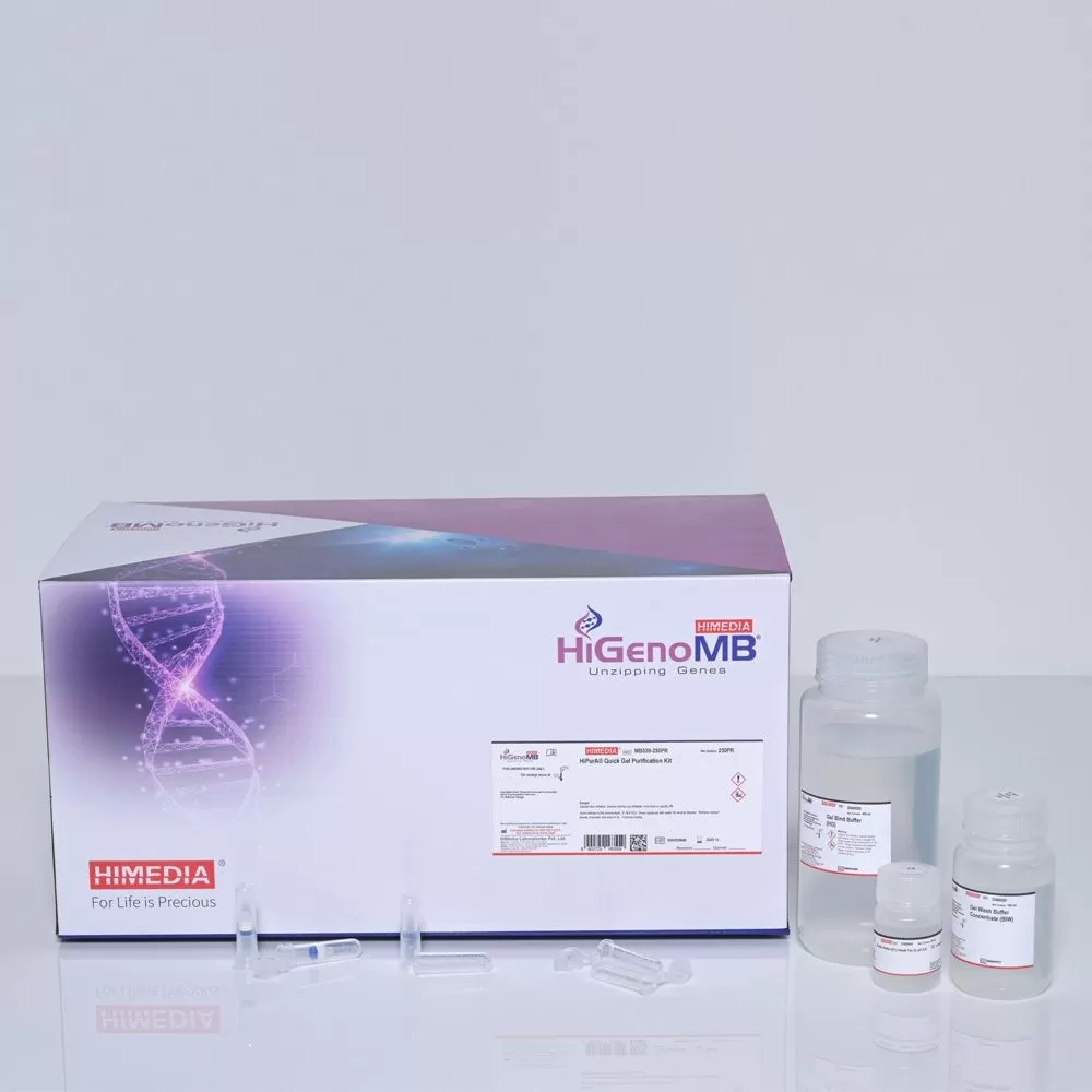 Набор HiPurA Quick Gel Purification Kit для выделения ДНК из агарозного геля